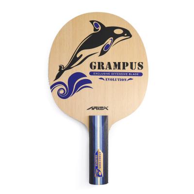 Ariex Grampus Evolution ping pong 