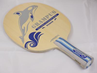 Ariex Grampus Wisdom ping pong 