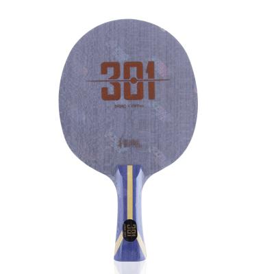 DHS Hurricane 301 ping pong 