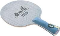 DHS Hurricane Hao ping pong 