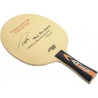 DHS Wang Hao Control ping pong 