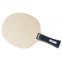 Donic Appelgren World Champion 89 ping pong 