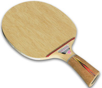 Donic Waldner Dotec Allround ping pong 
