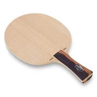 Stiga KevTech WRB ping pong 