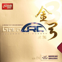 DHS Gold Arc 3 ping pong 