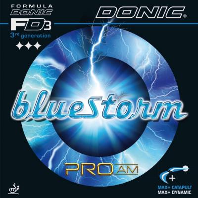 Donic Bluestorm Pro AM ping pong 
