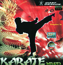 Giant Dragon Karate Hard ping pong 