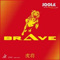 JOOLA Brave ping pong 