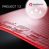 Nittaku Soulspin Project 12 (P12) ping pong 