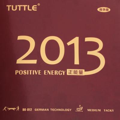 Tuttle 2013 Positive Energy Rubber